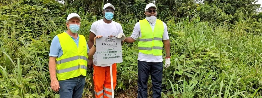 Community Reforesting for World Environment Day - Corrie MacColl ...