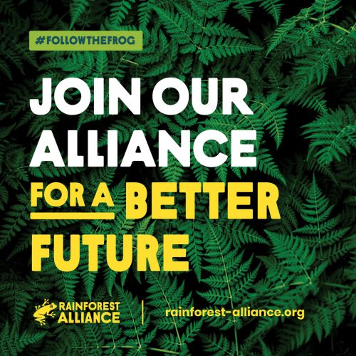 Rainforest Alliance