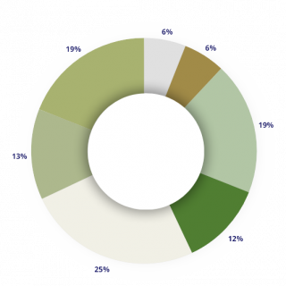 pie chart