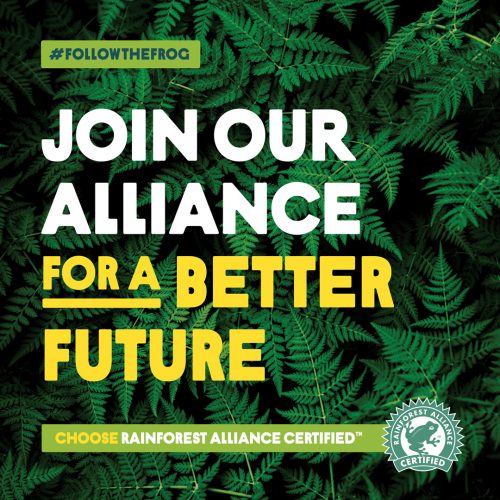 Rainforest Alliance